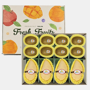 [후르츠팜] 골드키위8입+골드망고4입 선물세트 2.2Kg내외