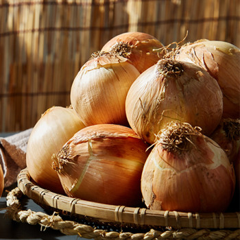 국내산 26 햇양파 3kg 5kg 10kg 아삭 달큰한 맛