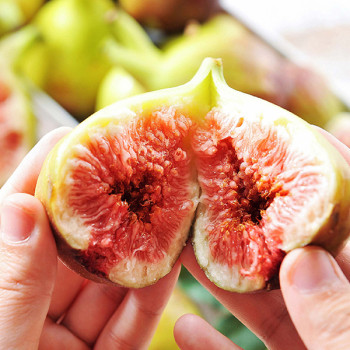 당일수확 하우스 생 무화과 400g(4-6과)/8kg