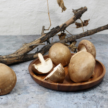 예산청년농부의 국내산 무농약 생표고버섯 1kg