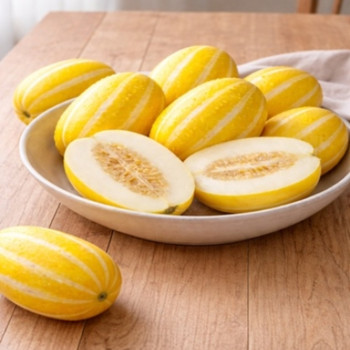 국내산 성주 꿀참외 못난이 참외 (1kg~5kg)