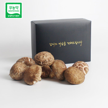 예산청년농부의 무농약 생표고버섯 상품 선물세트 1kg / 2kg 직접재배 무농약표고버섯