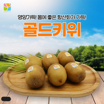 [이가네과일야채] 뉴질랜드 제스프리 골드키위