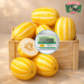 ㅣ고당도 15brix 이상 비파괴 당도선별ㅣ온부자유통 성주 꿀참외 특등급 참외 특 2kg 3kg 5kg 10kg