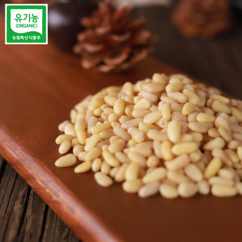 강원도 영월 유기농 잣 (백잣/황잣) 500g