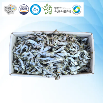 [마산어시장 동해상회] 정치망 남해안 청어멸치(솔치) 특품 1.5kg