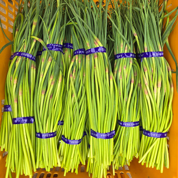 [딱! 7일 특가] (딱 한달) 국내산 제철 햇마늘쫑 특품 1kg/2kg