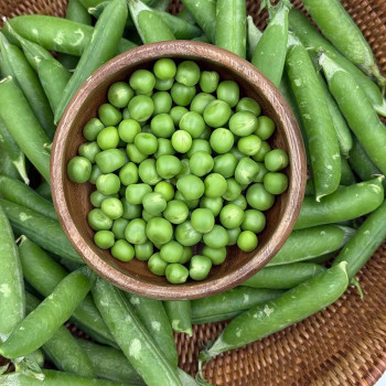 26년 국내산 햇 완두콩 (500g/1kg/2kg) 산지직송 당일수확