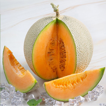 [고당도] 황제멜론 하미과멜론 1kg (작은사이즈 3-5과 내외)/2kg/4kg