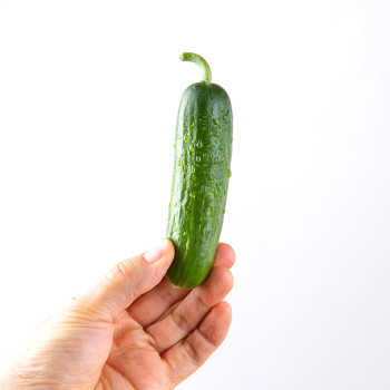 [굿파머] 미니오이 500g / 1kg / 2kg / 3kg / 4kg