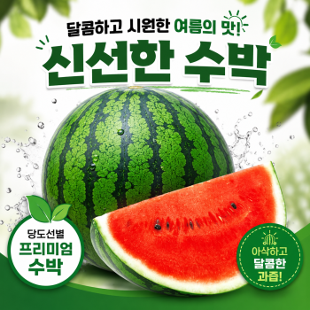 [고당도] 하우스 프리미엄  정품 꿀 수박