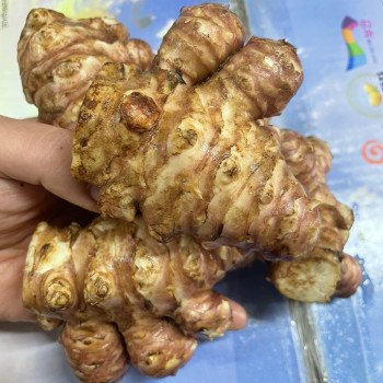 돼지감자 1kg/ 2kg/ 3kg/ 5kg