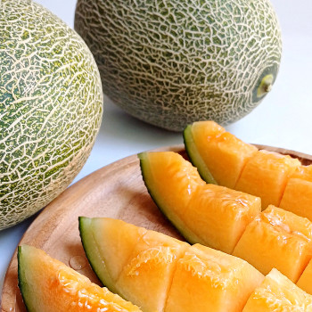 고령 프리미엄 하미과 메론 5kg