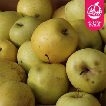 [산천향] 안동사과 시나노골드 (쥬스용) 2kg/3kg5kg