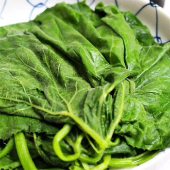 [남도애] 당일수확발송 국산 호박잎 1kg (특품)