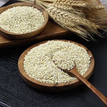 (25년산) 정읍농부 김대중의 찰보리 1kg