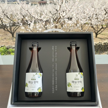 순창 황매실원액 600ml x 2병 새콤달콤 전통발효 매실청