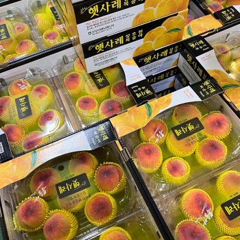 (농할) [햇사레 털 복숭아] 황도복숭아/백도 랜덤출고 2.5kg 10-16과