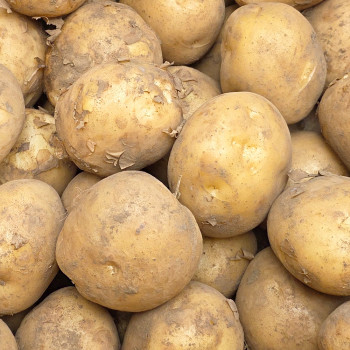 26년 국내산 햇감자 2kg 3kg 5kg 10kg