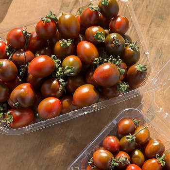부산 대저 흑대추방울토마토 대과 500g 1kg 2kg