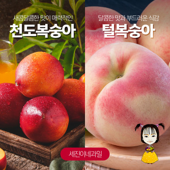 [딱! 7일 특가] [착한가격][세진이네 과일] 달콤 털복숭아/  아삭~ 아삭한 딱복 2kg 4kg