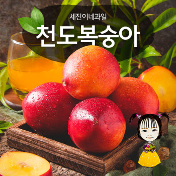 [딱! 7일 특가] [착한가격]세진이네 과일 2026 천도복숭아(오월도)