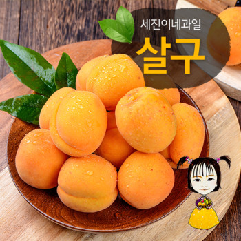 [착한가격] 세진이네과일 2026 햇 살구(B360)