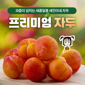 (농할) [딱! 7일 특가] [착한가격]세진이네과일 2026 햇 자두 - 6월 23일 전후 배송