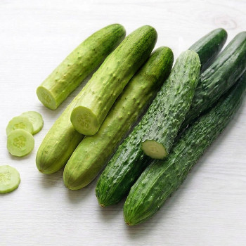 국산 백다다기 백오이 가시오이 취청 1kg 2kg 3kg 5kg 10kg
