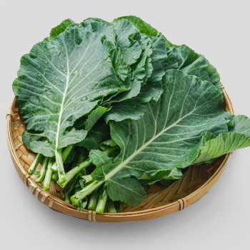 국내산 하우스 쌈용 케일 1kg 2kg 쌈채소 녹즙 샐러드