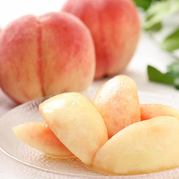 [말랑이복숭아]하우스 황도/ 백도복숭아 500g/1kg/2kg(10-16과)