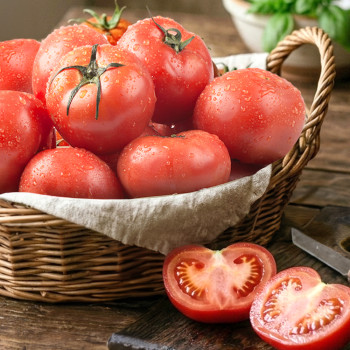 국내산 완숙토마토 찰토마토 유럽종 2kg 3kg 5kg 10kg