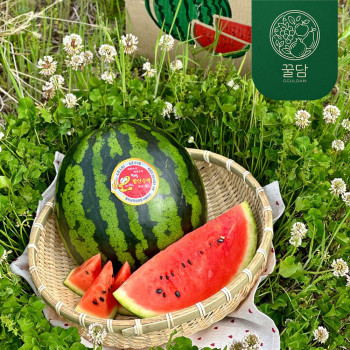 [꿀담] 프리미엄 고당도 함안 수박(정품) 6kg/7kg/8kg