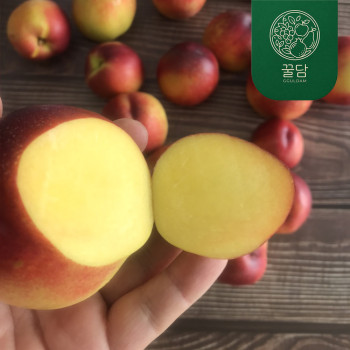 [꿀담] 천도복숭아 (노지) 1kg/2kg