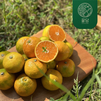[꿀담] 제주 하우스 감귤(가정용 못난이) 2kg/3kg/5kg