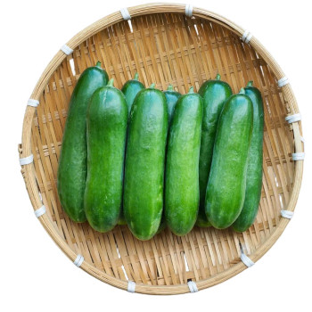 [경매직송] 국내산 미니오이 1kg/2kg/5kg 선택