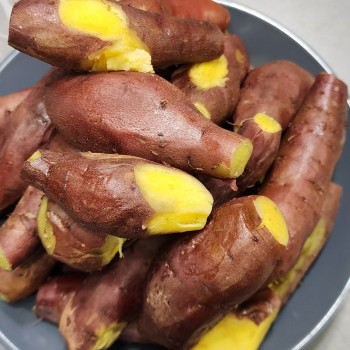 해남 꿀고구마 베니하루카 밤고구마 3kg 5kg 10kg