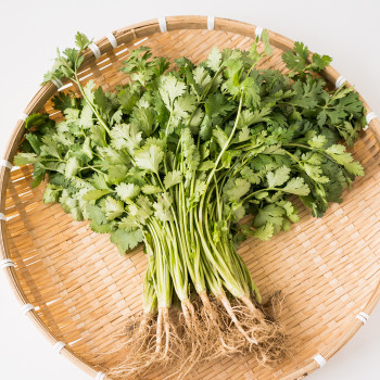 향긋한 풍미의 고수 국내산 고수 500g/1kg/2kg