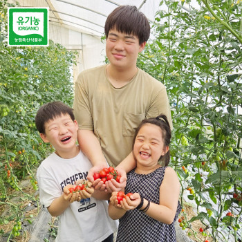 [딱! 7일 특가] [26년산] 홍성 엄마농부의 유기농 대추방울토마토 1kg 당일수확 방울토마토 토마토