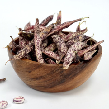 [경매직송] 국내산 호랑이콩 1kg/2kg/4kg 선택