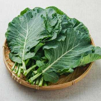 [한결스토어]가 고른 슈퍼푸트 케일 1kg/2kg (쌈용)