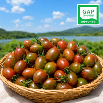 [GAP인증] 신선한 대저 흑대추방울토마토 500g / 1kg