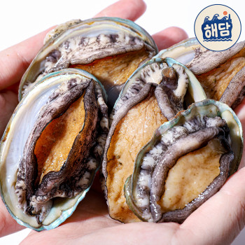 [딱! 7일 특가] [해담] 완도 산지직송 활전복 1kg 중대/특/특대 (산소안심포장)