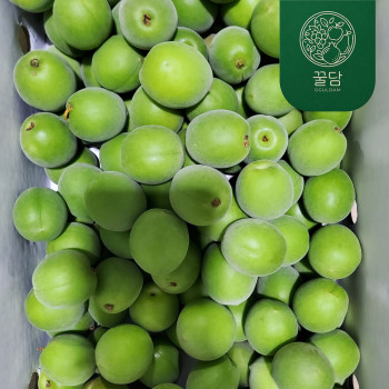 (농할) [꿀담] 국내산 청매실 5kg/10kg 사이즈선택