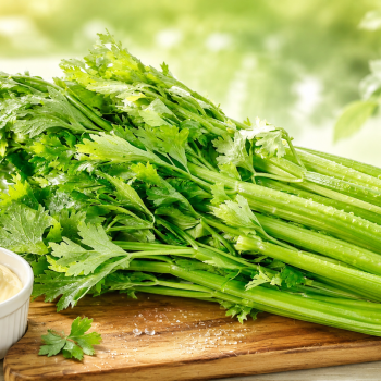 국내산 샐러리 1kg 2kg 3kg