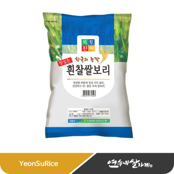 2026년 ★햇보리 흰찰 쌀보리 5kg 불리지 않아도 쫀득하고 부드러운 식감 회현농협