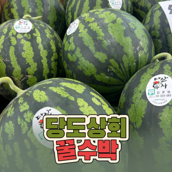 [당도상회] 국내산 산지직송 14브릭스 보장 고당도 꿀수박 6-7kg