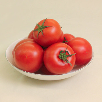 (농할) 국내산 완숙 토마토 3kg/5kg/10kg