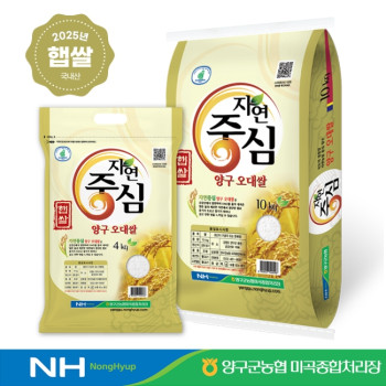 [25년 햅쌀] 양구 오대쌀 20kg 강원 백미 당일도정