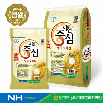 국내산 [2026년] 양구 오대쌀 20kg 강원 백미 당일도정